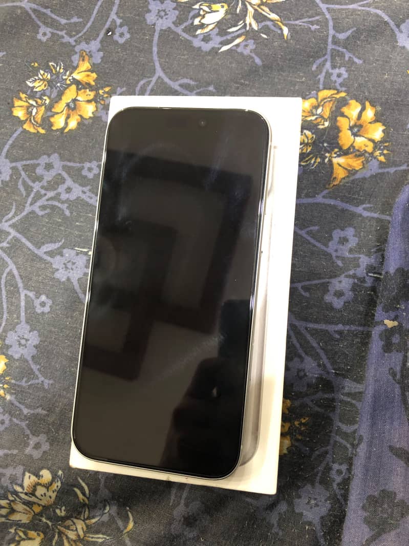 17 pro max silver new condition 6