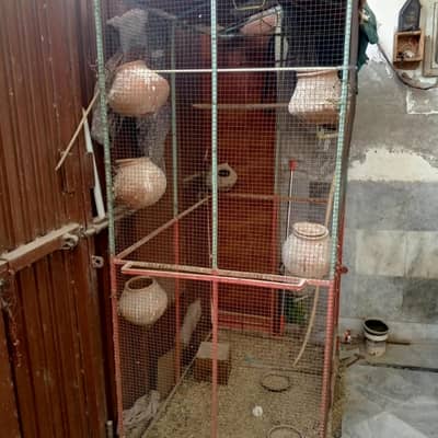 big cage