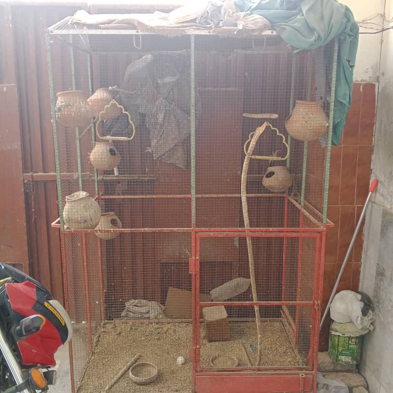 big cage 1