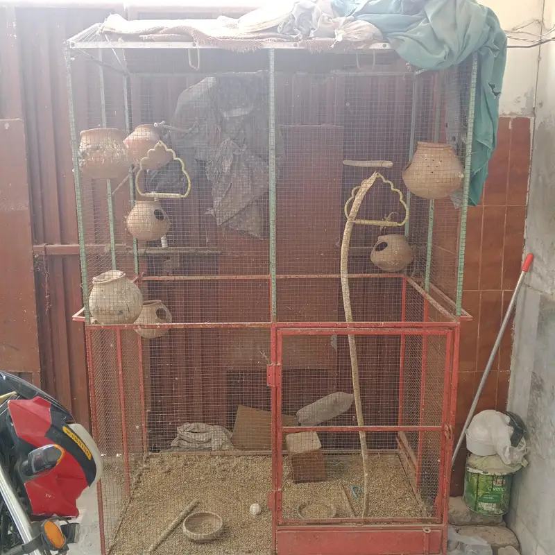 big cage — photo 2