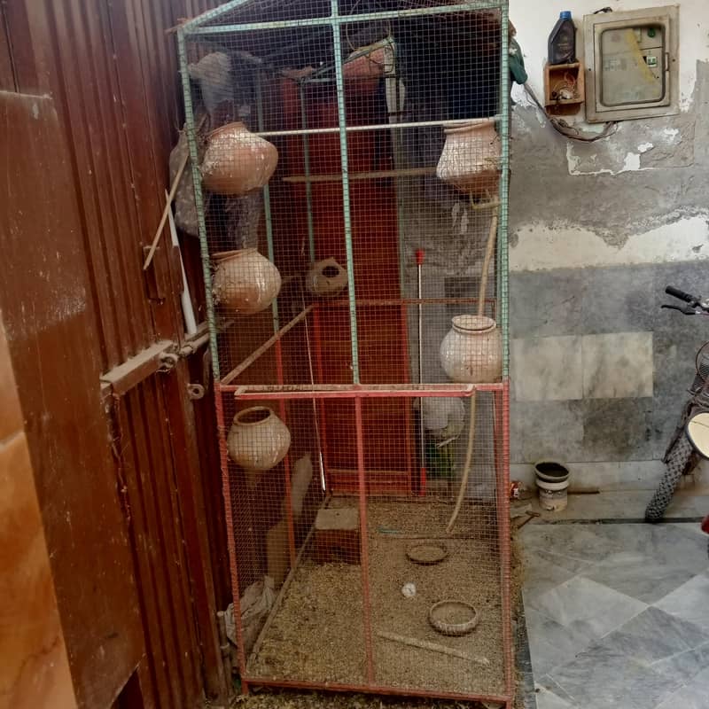 big cage 2