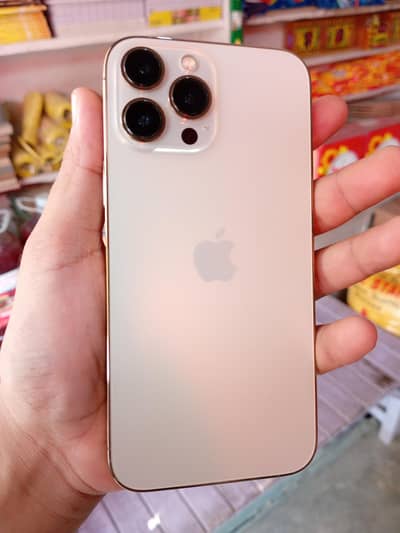 Apple iPhone 13 Pro Max