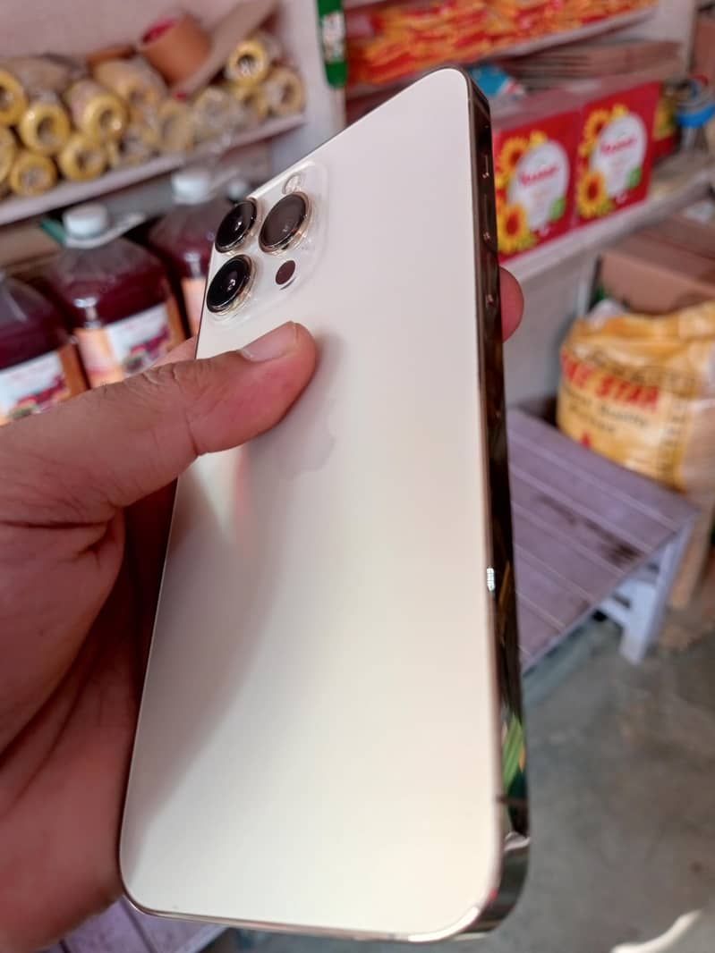 Apple iPhone 13 Pro Max 1
