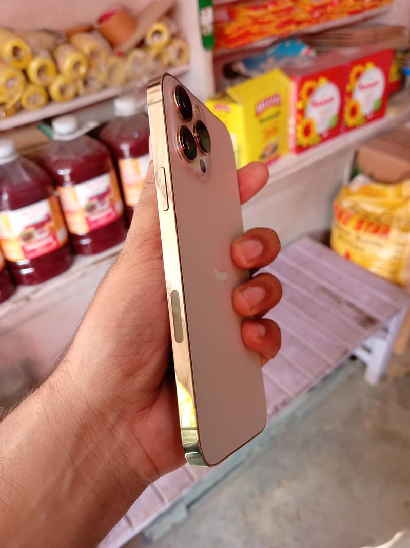 Apple iPhone 13 Pro Max 3