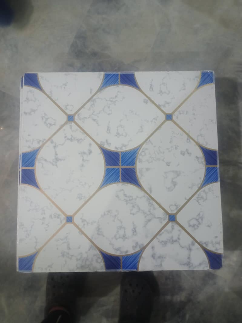 Ceiling Tiles 1
