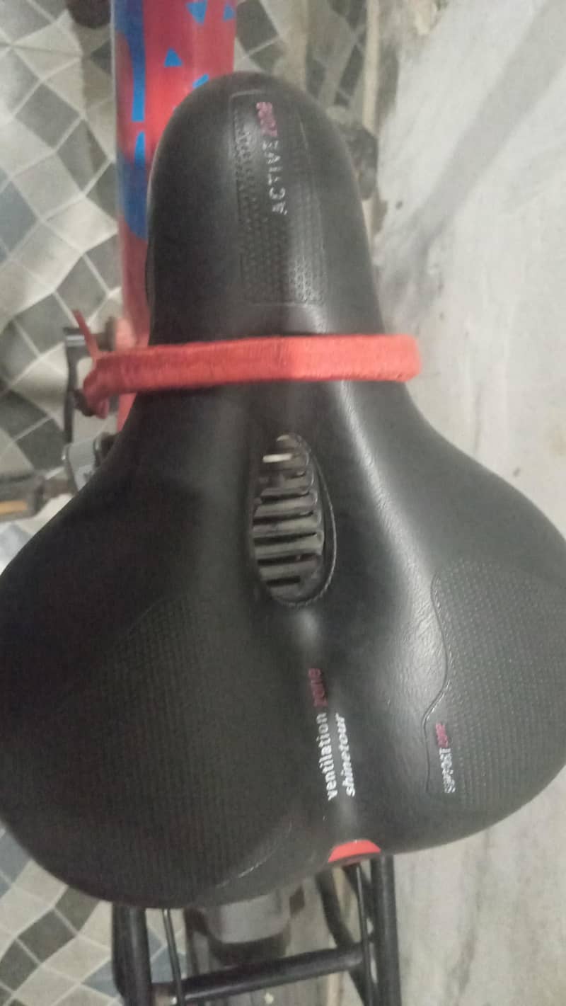 Supra Cycle 4