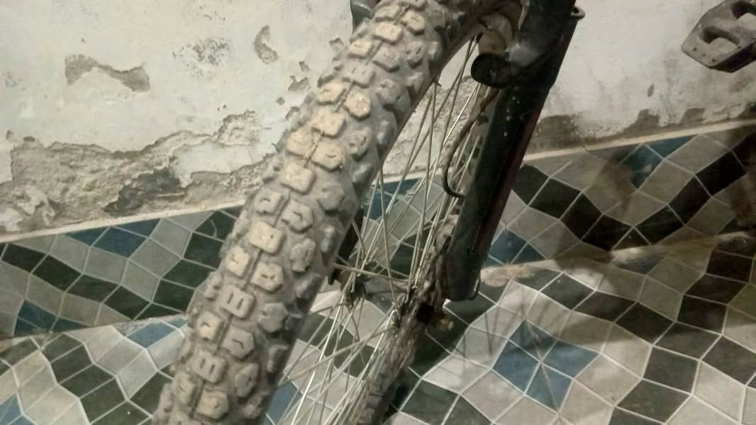 Supra Cycle 8