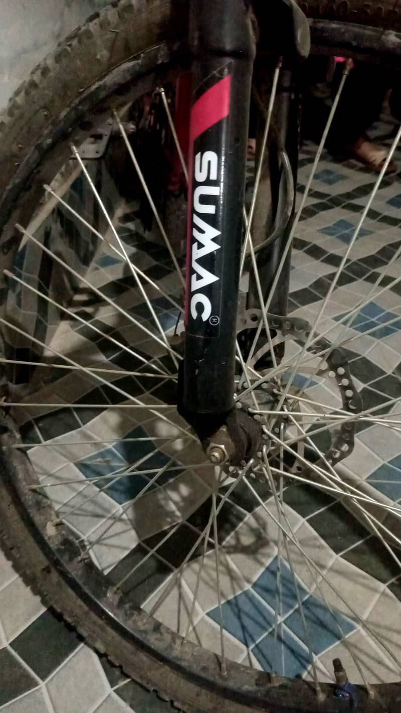 Supra Cycle 12