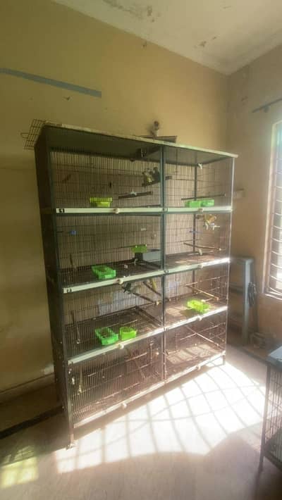 Parrot cage 5/1.5ft