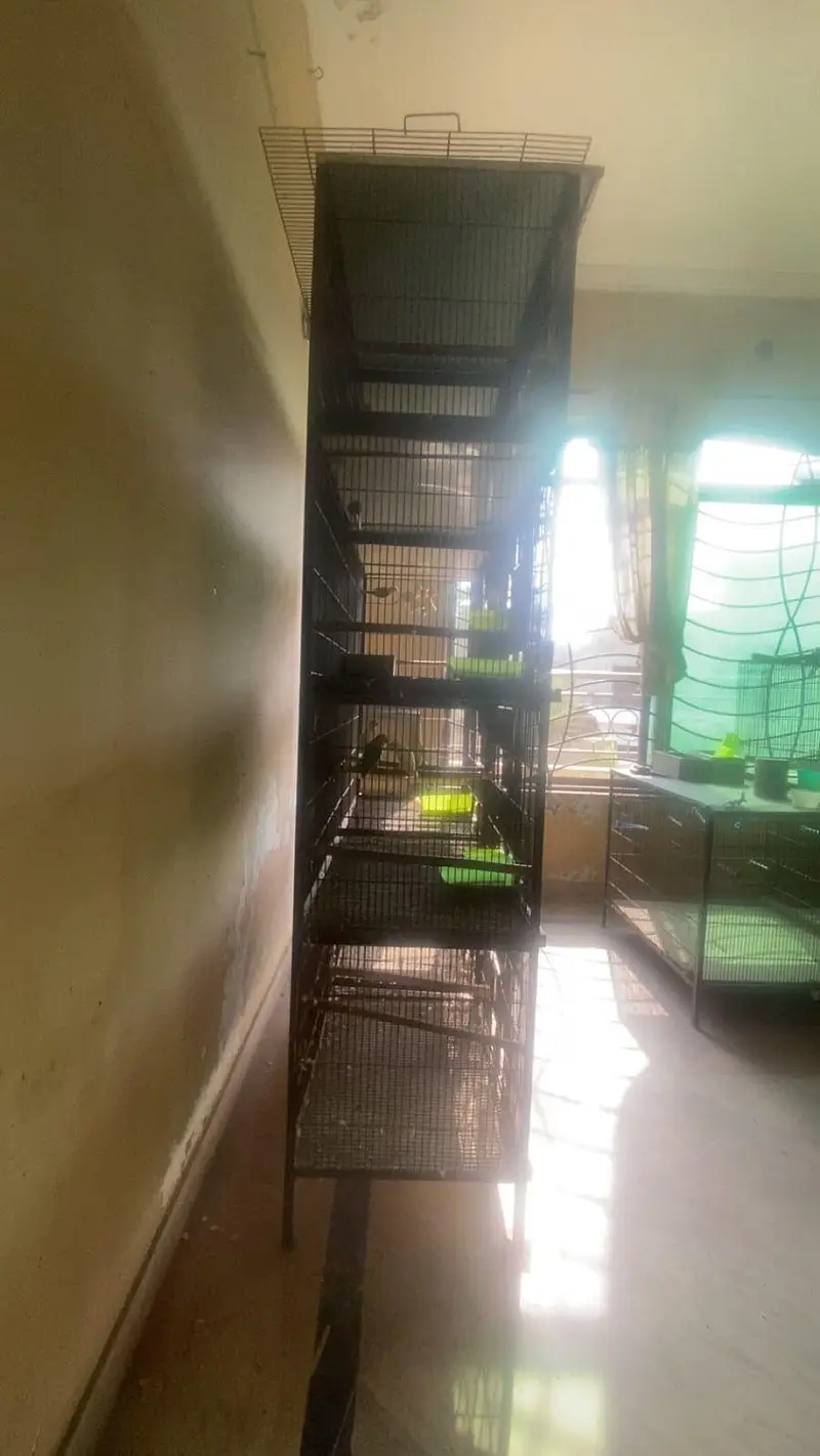 Parrot cage 5/1.5ft — photo 2