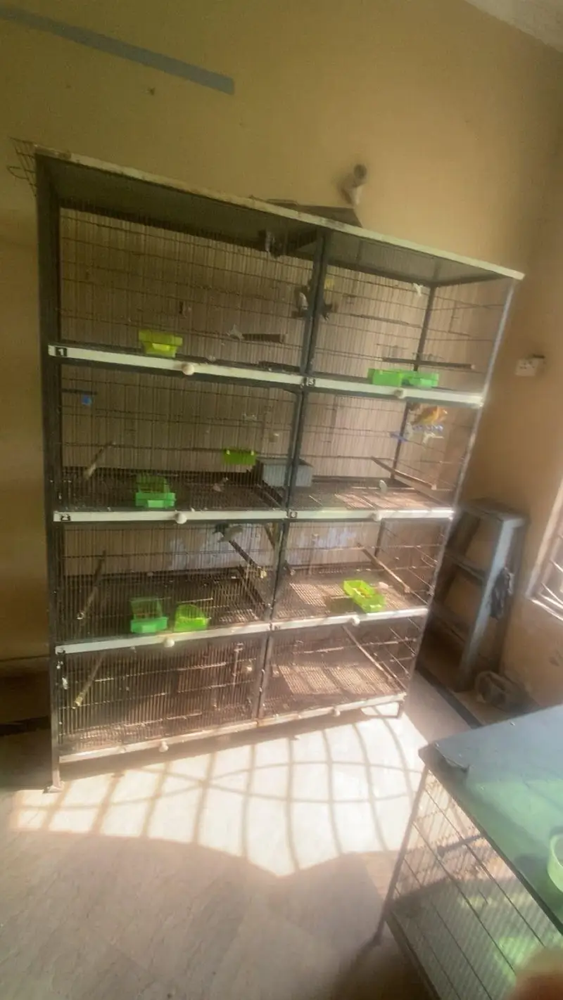 Parrot cage 5/1.5ft — photo 3