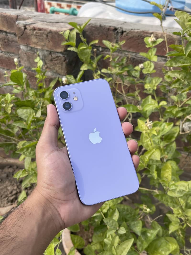 Apple iPhone 12 0