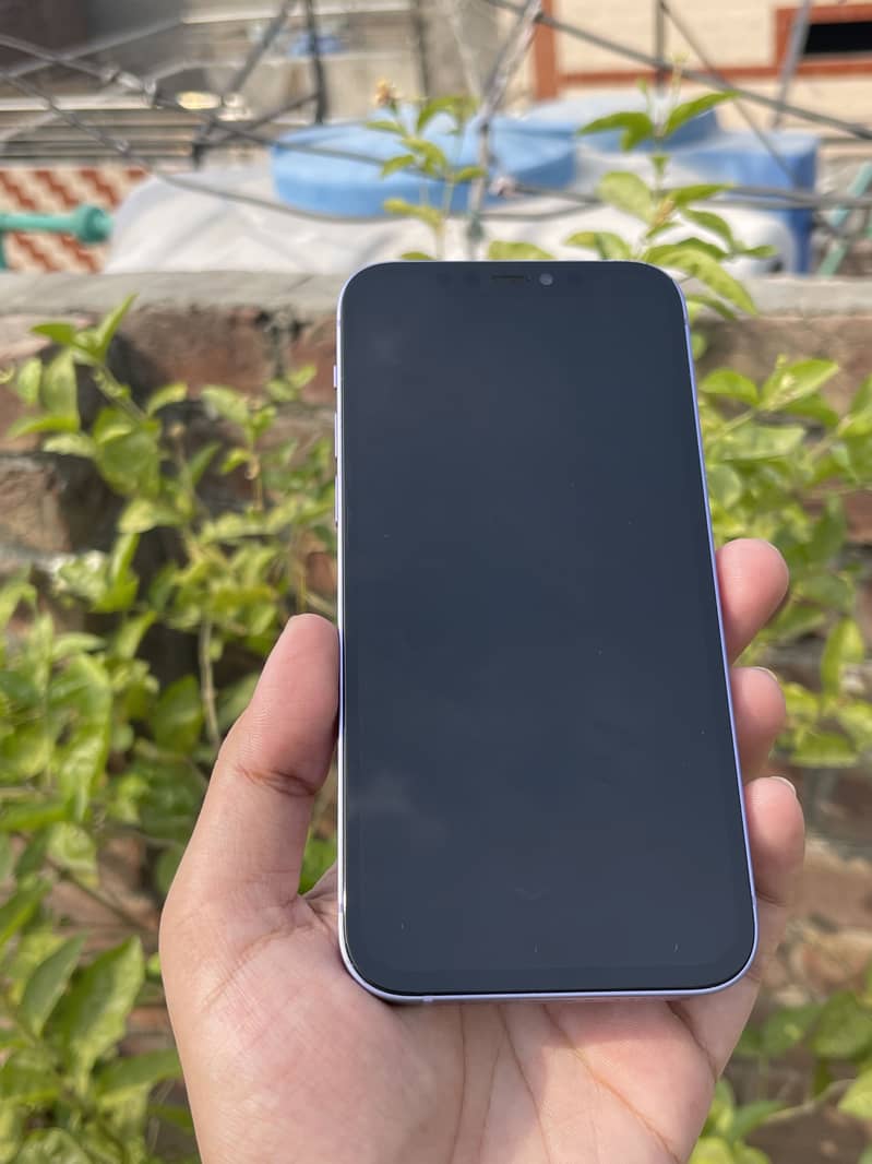 Apple iPhone 12 1