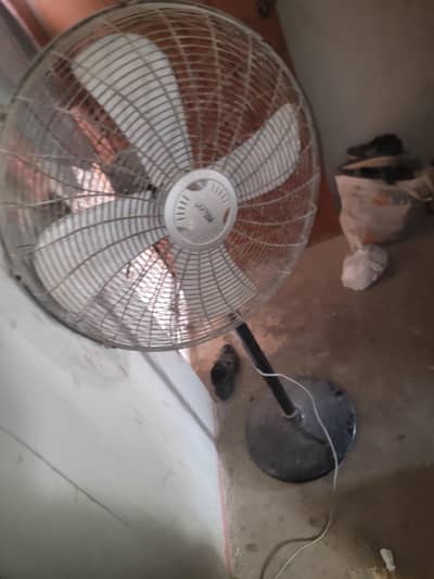 for sell