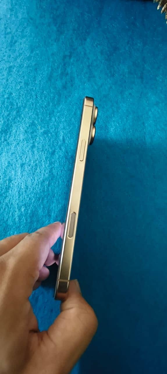 Apple iPhone 16 Pro Max 2