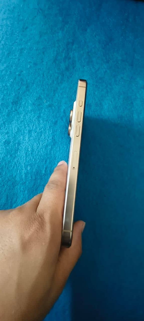 Apple iPhone 16 Pro Max 4