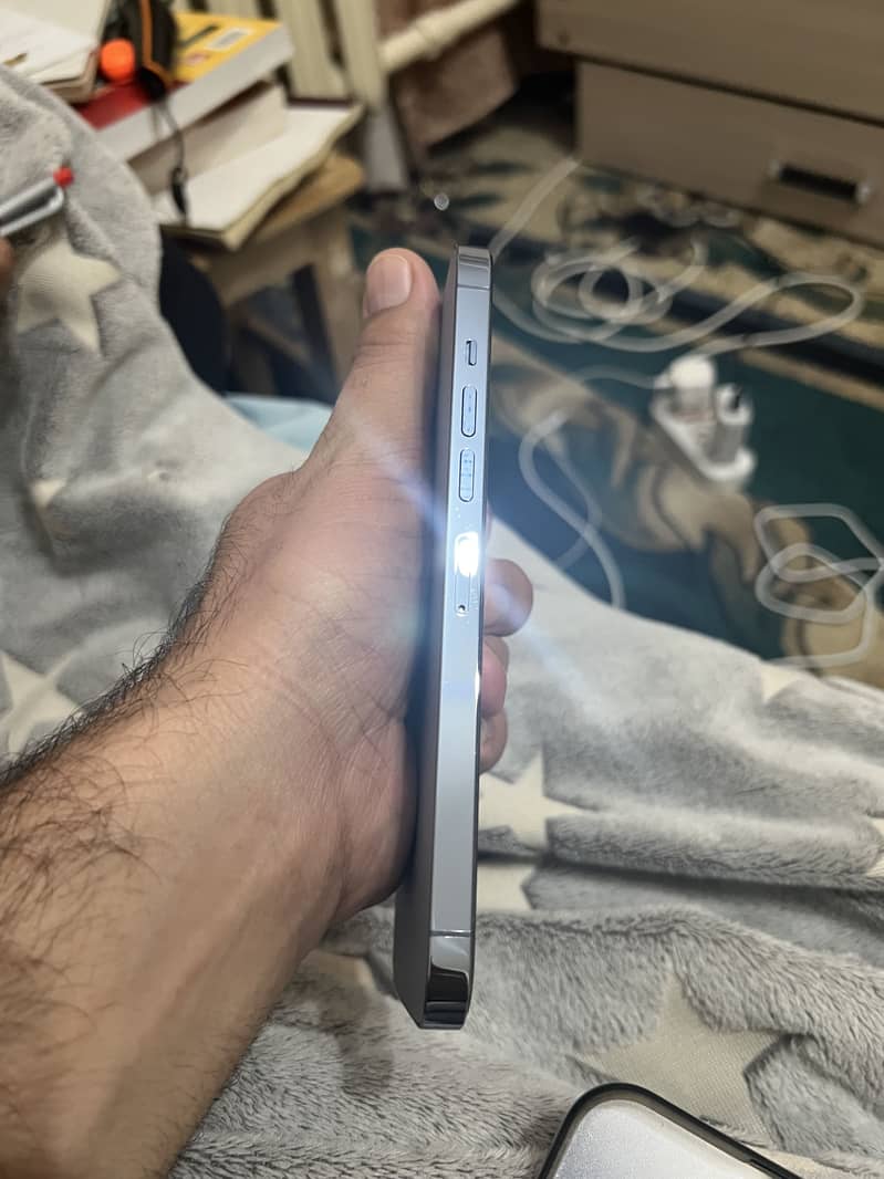 Apple iPhone 13 Pro Max 0