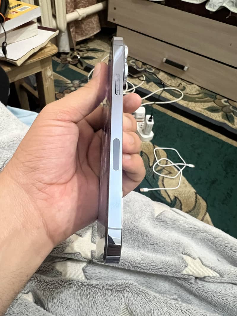Apple iPhone 13 Pro Max 3