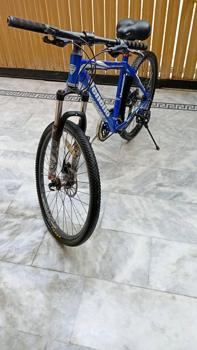 Veneno cycle 2