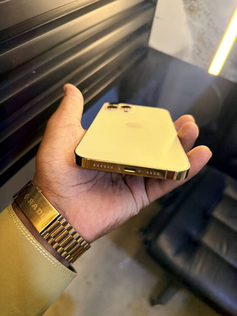 iPhone 12 Pro Max 1