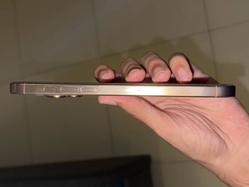 Apple iPhone 16 Pro Max 1