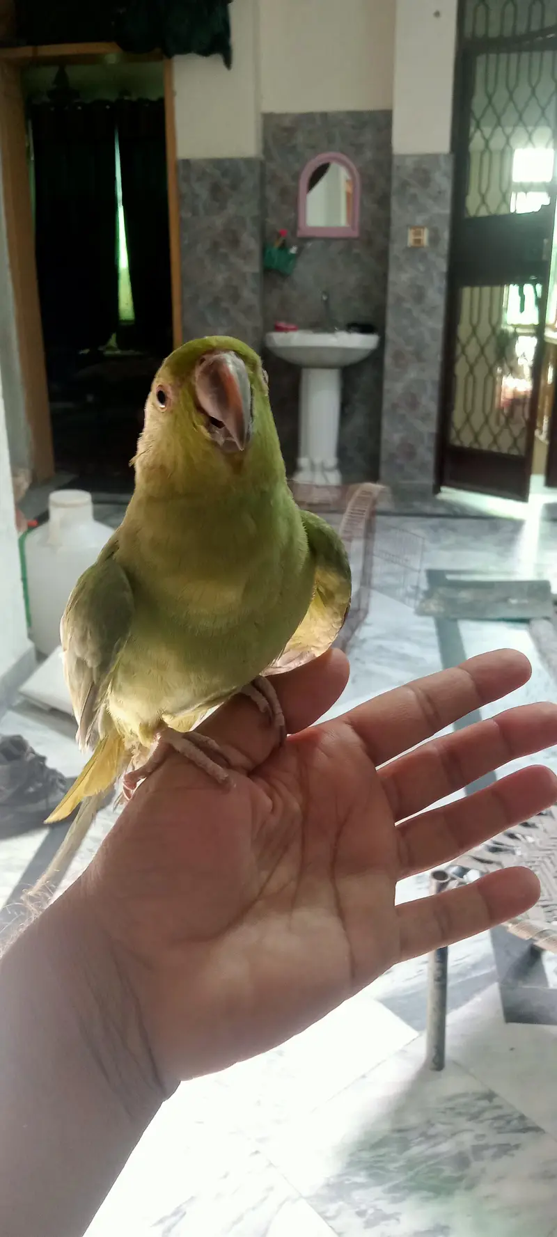 new baby — photo 2