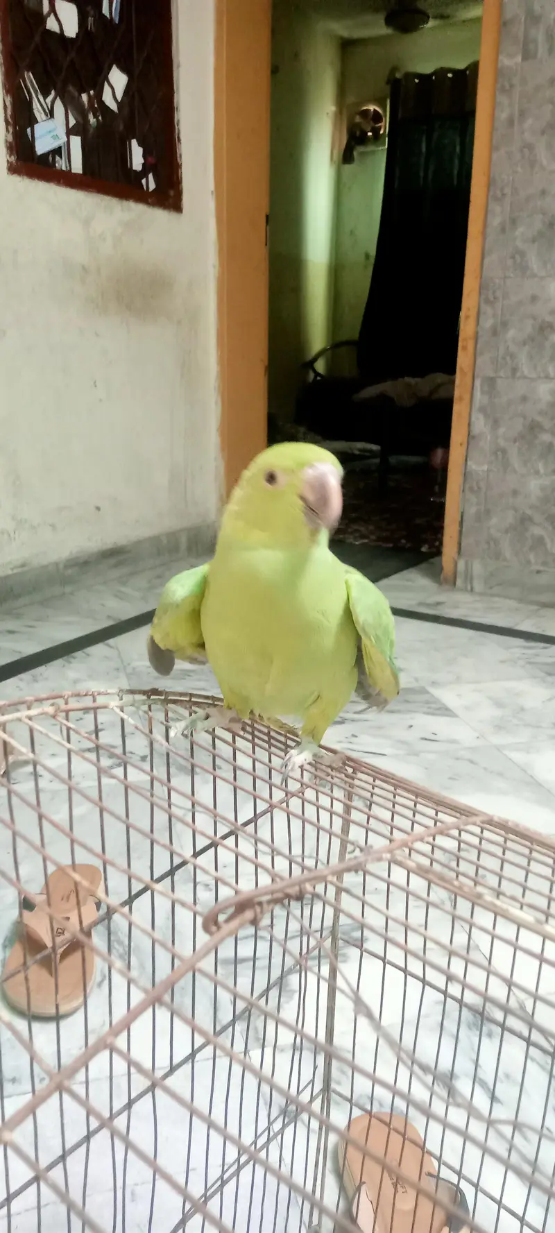 new baby — photo 3