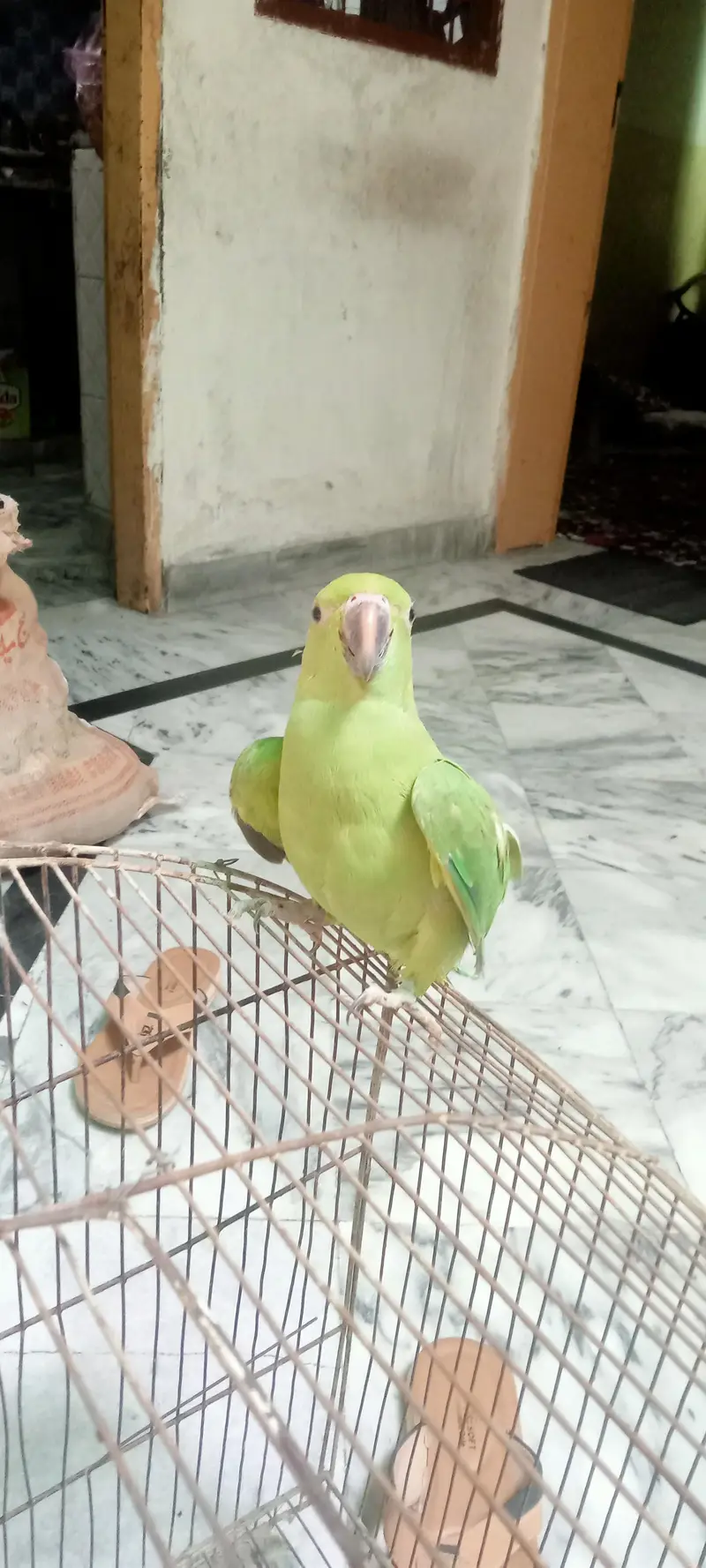 new baby — photo 4