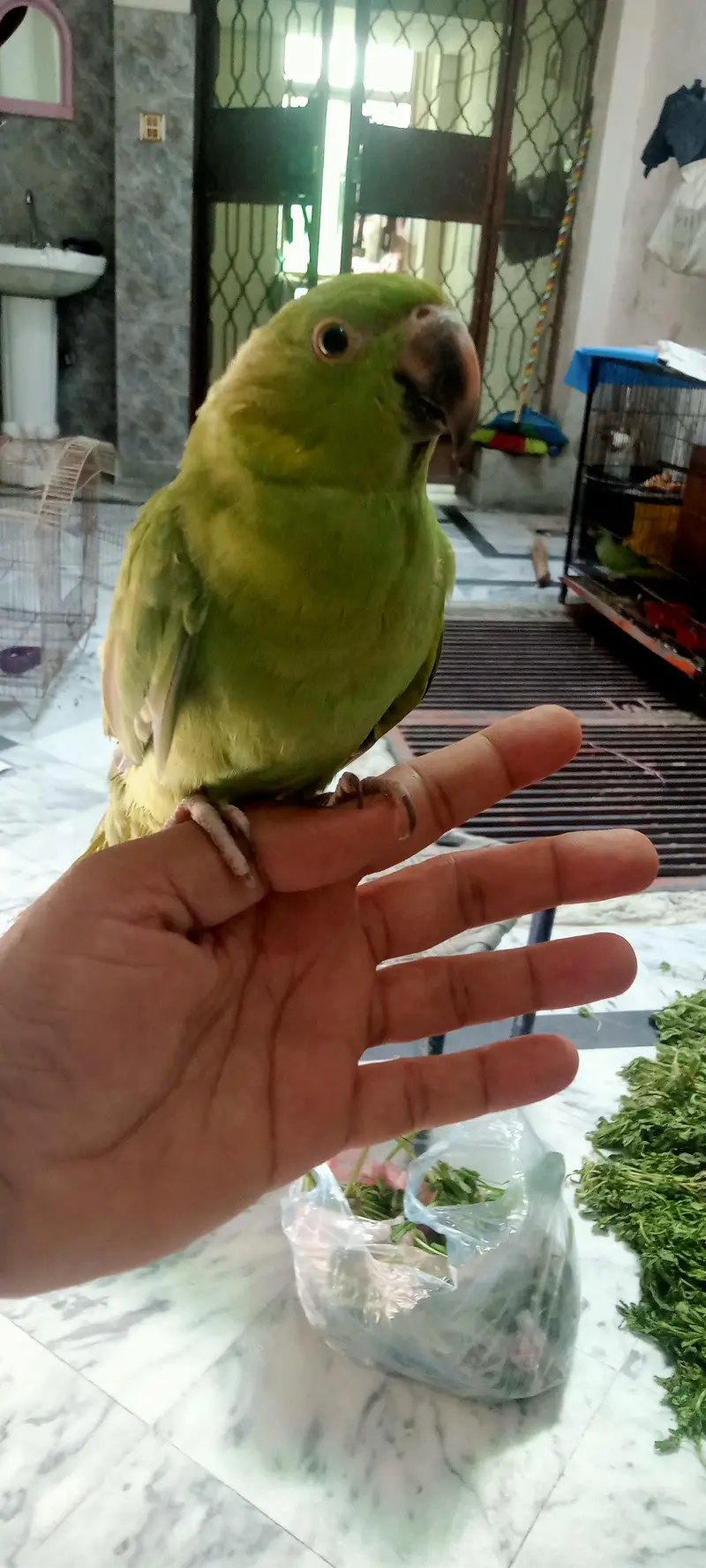 new baby — photo 5