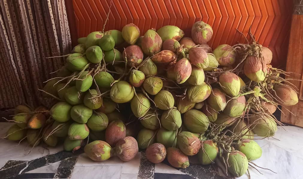 Fresh Coconuts 0