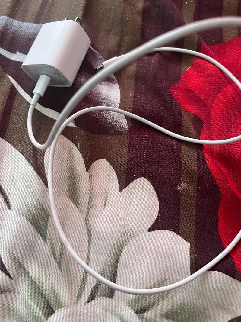 iphone orginal charger 0