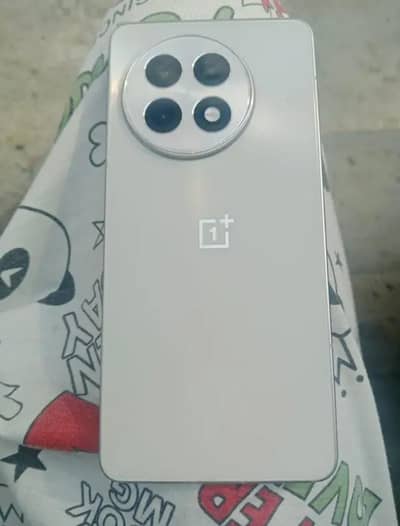 One Plus 13R 12/256