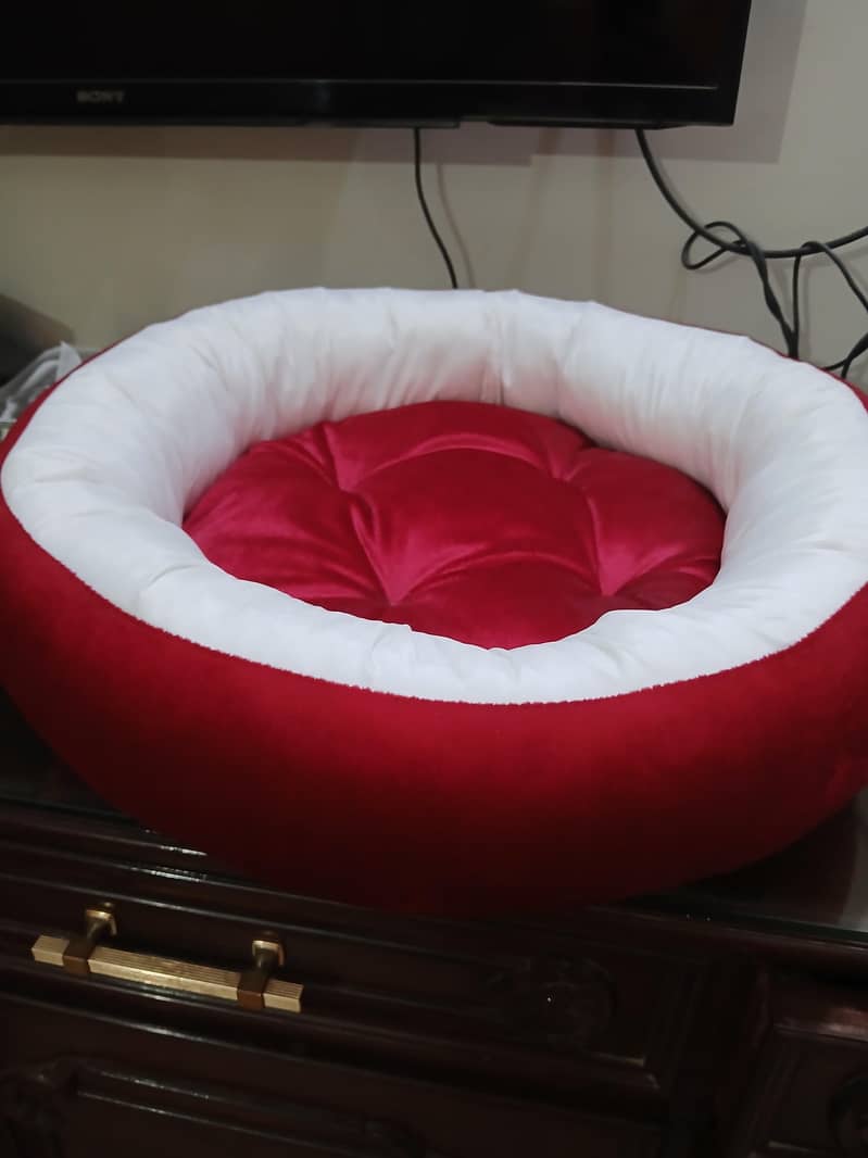 cat cage 1