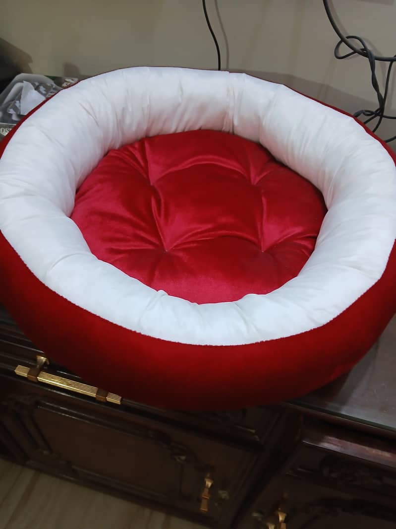 cat cage 3