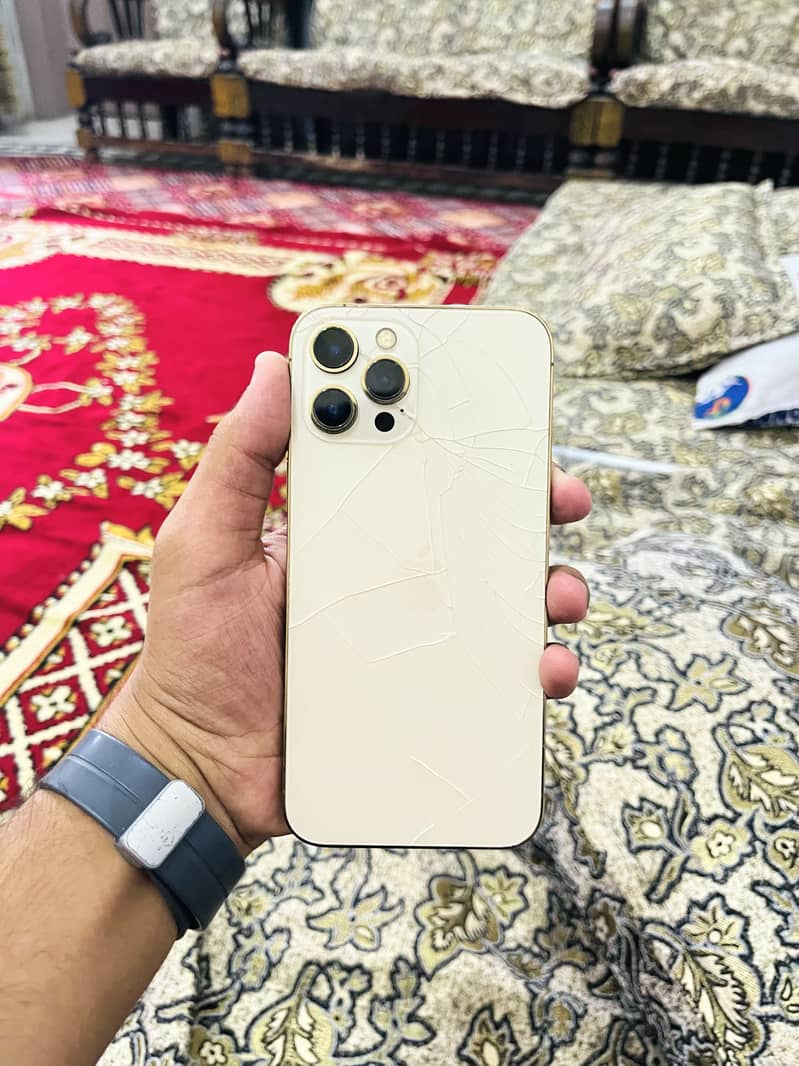 Apple iPhone 12 Pro Max 1