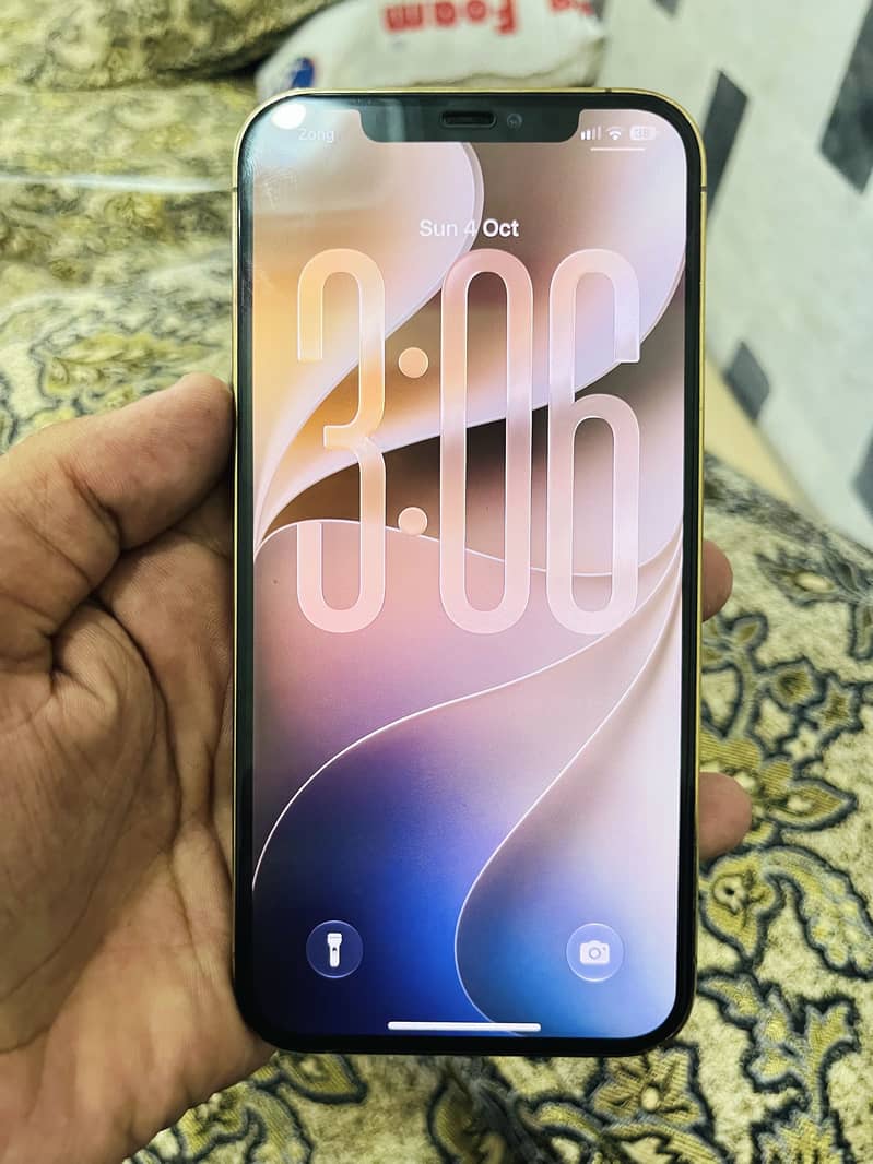 Apple iPhone 12 Pro Max 4