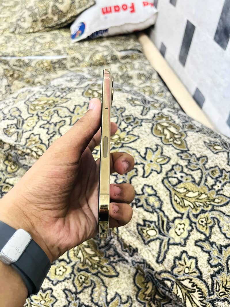 Apple iPhone 12 Pro Max 5