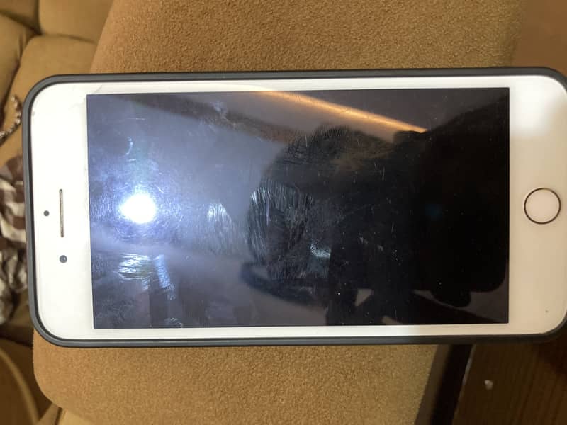 Apple iPhone 7 Plus 1