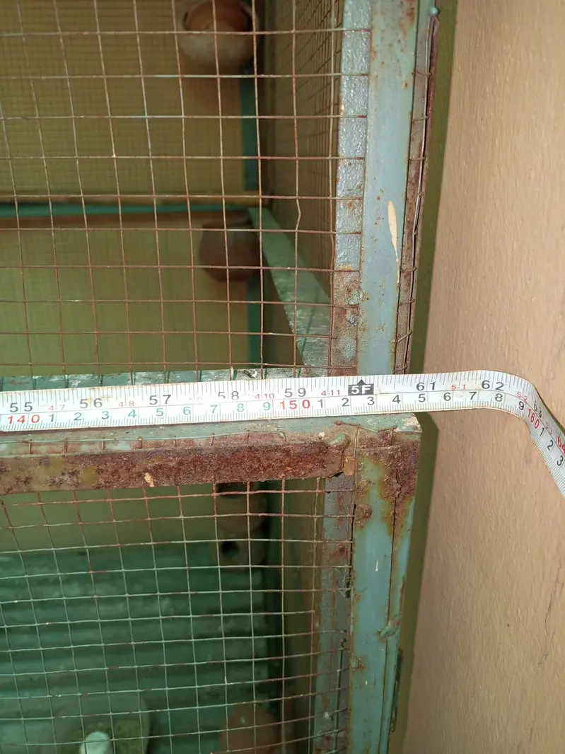 big cage 5.5width 7ft length — photo 2