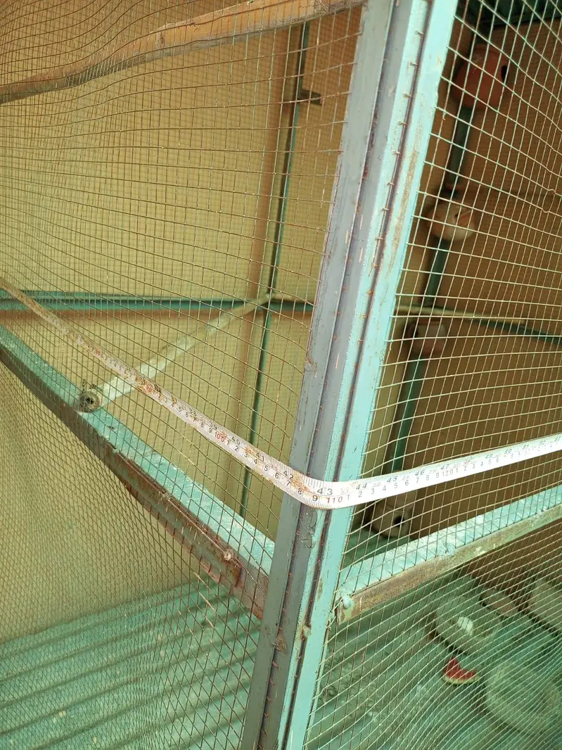 big cage 5.5width 7ft length — photo 4