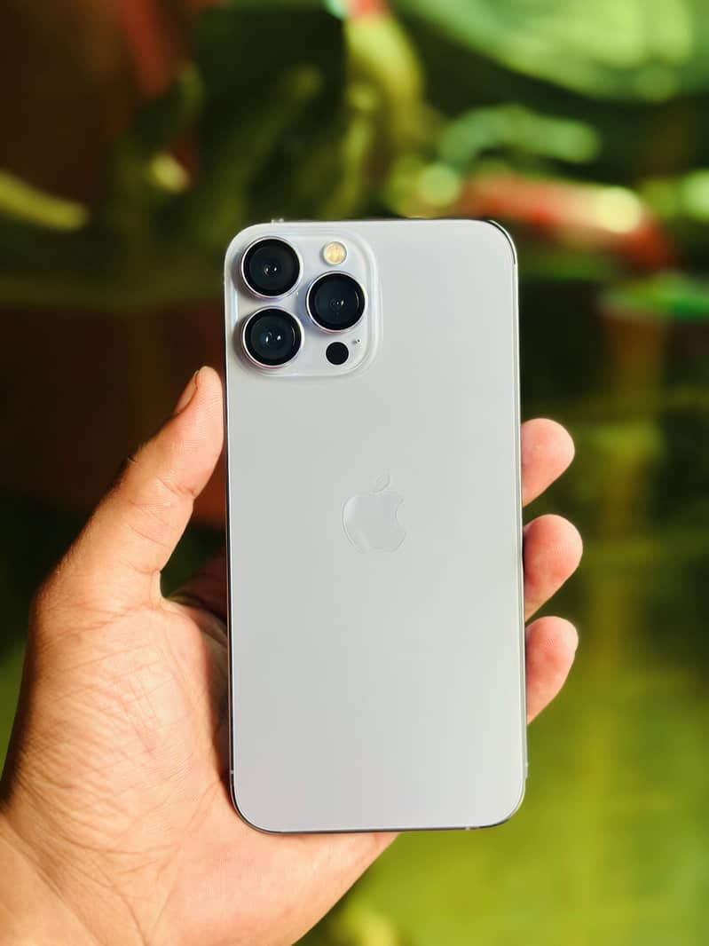 Apple iPhone 13 Pro Max 1