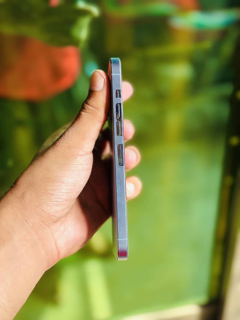 Apple iPhone 13 Pro Max 2