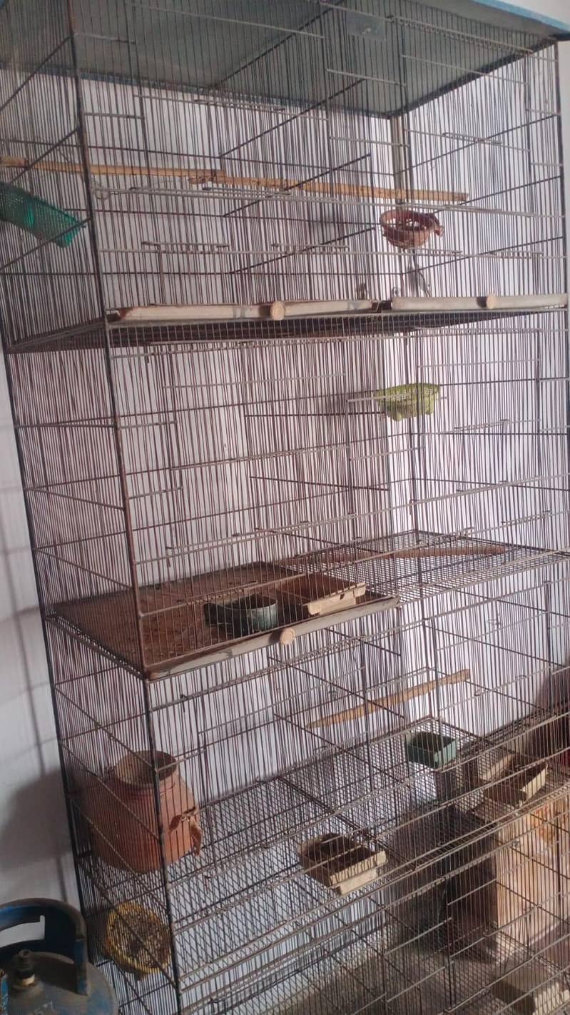 8 portion cage for sell 1