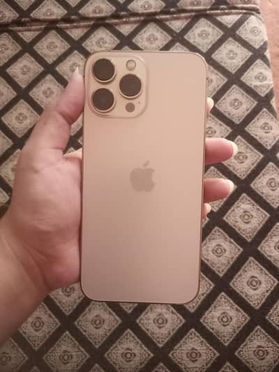 Apple iPhone 13 Pro Max