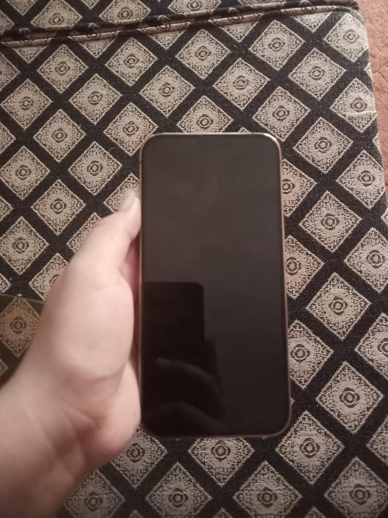 Apple iPhone 13 Pro Max 1