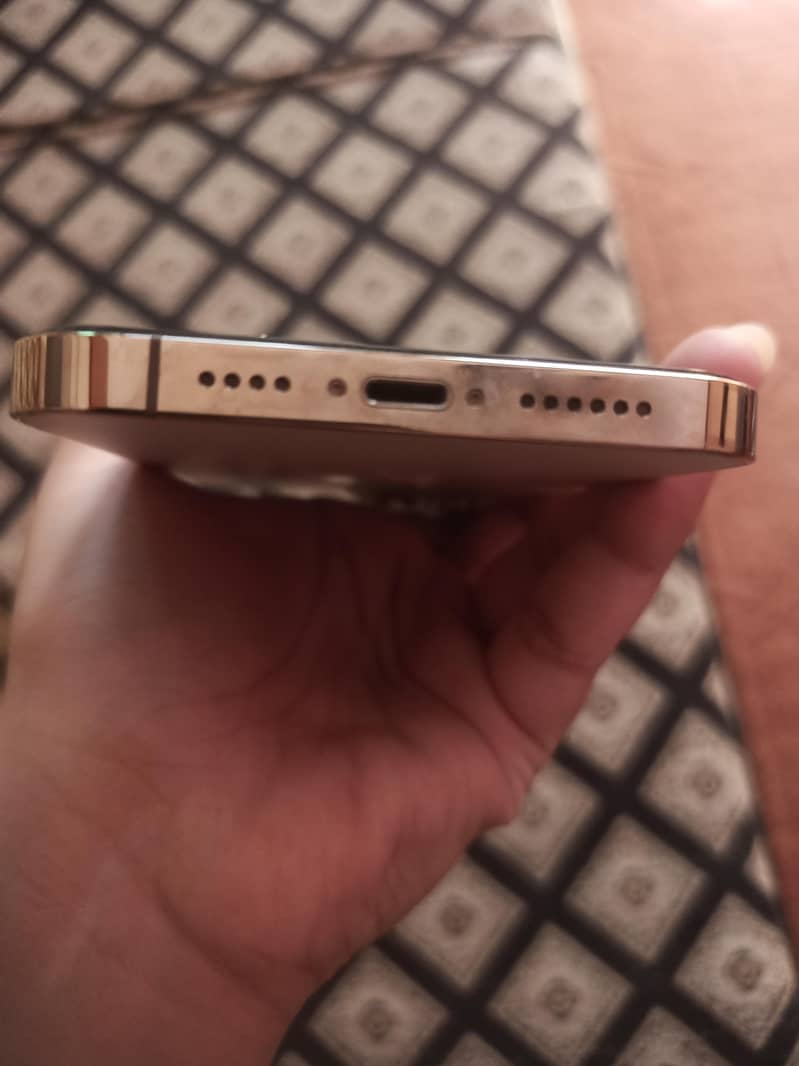 Apple iPhone 13 Pro Max 2