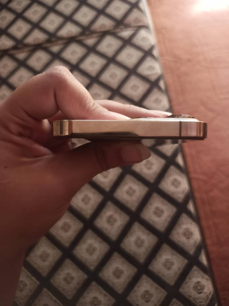 Apple iPhone 13 Pro Max 3