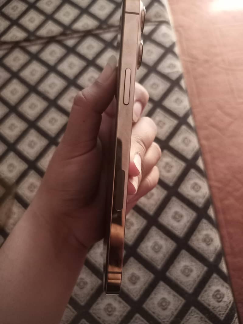Apple iPhone 13 Pro Max 4