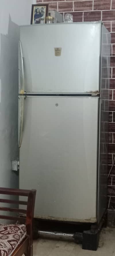 A big jumbo size refrigerator  samsung