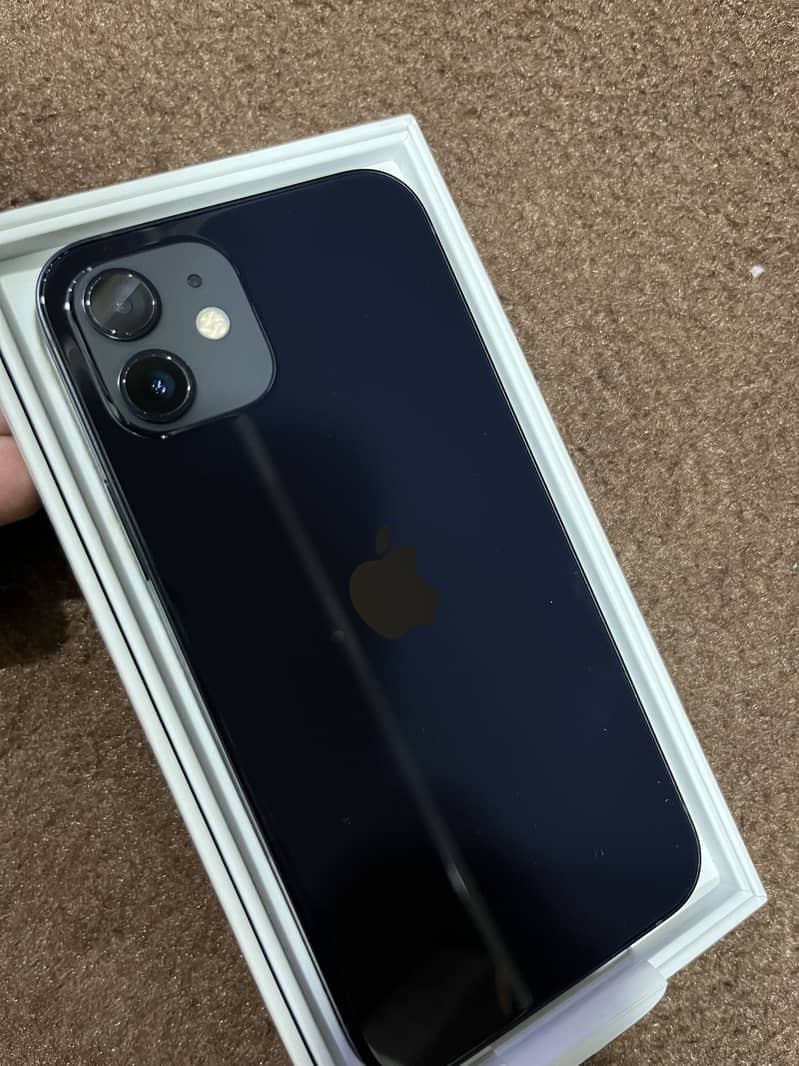 Apple iPhone 12 1